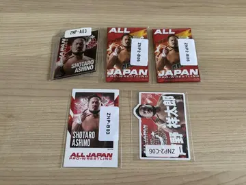 전일본 프로레슬링 아시노 쇼타로 웹폰 묶음 판매