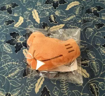 비둘기 홀더