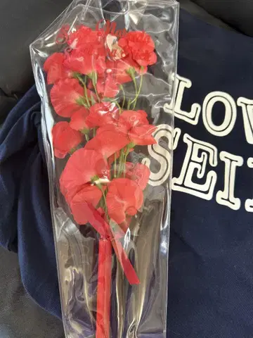 (공식) 마츠다 세이코 레드 스위트 피스 스틱 & 케이스 포함