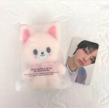 Straykids 펜미 10cm 봉제 인형 폭시니 트레이딩 카드 포함