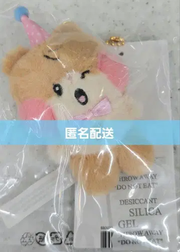 popup zb1 zeroni 미니 봉제 인형 키링 함빈