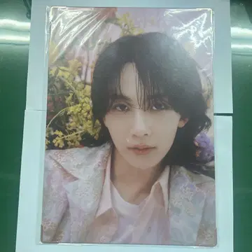 SEVENTEEN ALWAYS YOURS 프리미엄 사진 정한