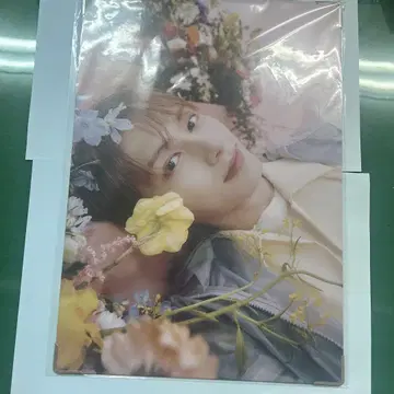 SEVENTEEN 세부치 ALWAYS YOURS 프리미엄 사진 준