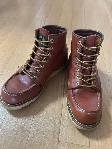 REDWING 레드윙 반원형 개 태그 아이루쉬 세터 5.5E