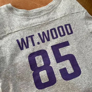 챔피온 WT.WOOD 85 티셔츠 그레이