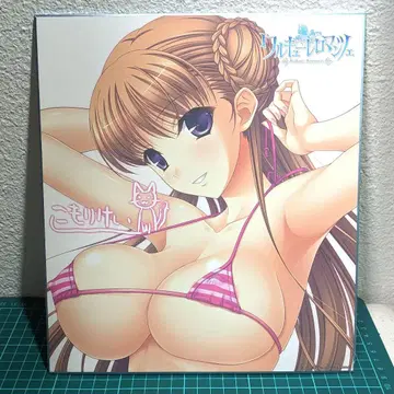 CH2434 발키리 로망스 Blu-ray 제3권 예약 특전 노엘 색지