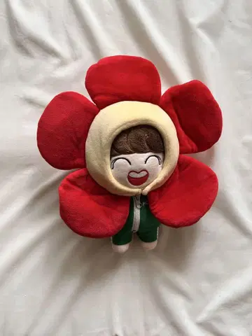 BTS J-HOPE 봉제 인형 20cm 마스터