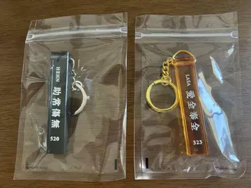후지이 카제 키링