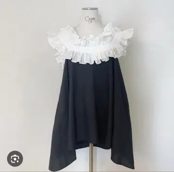 cygne 프릴 A 라인 상의
