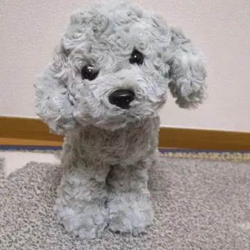 타치누이 토이 푸들 봉제 인형
