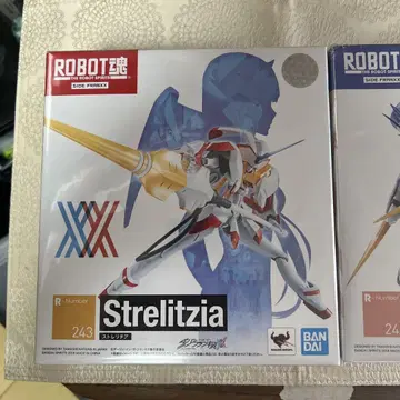달링 인 더 프랑키스 Strelitzia & Delphinium 세트
