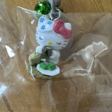 지역 키티 키링