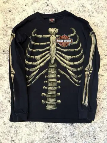 HARLEY DAVIDSON 뼈 스컬 본