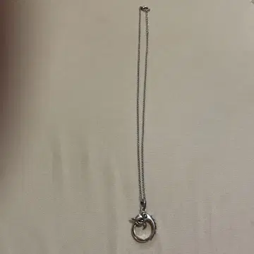 남성용 드래곤 모티브 실버 목걸이