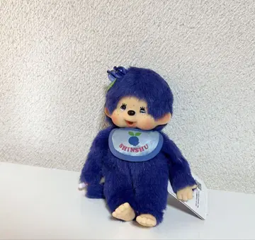 신슈 한정판 블루베리 몬치치 나가노 한정판 몬치치 S 레어