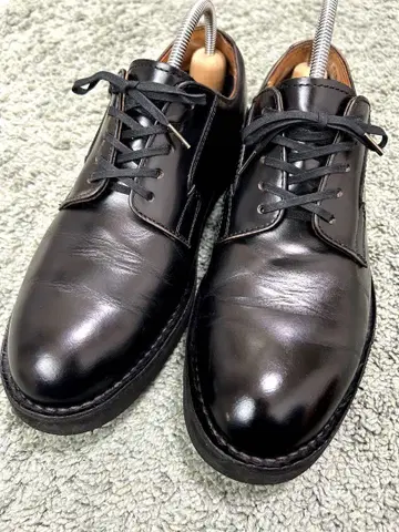 Danner 다너 포스트맨 신발 us 7 25.5~26cm 상당