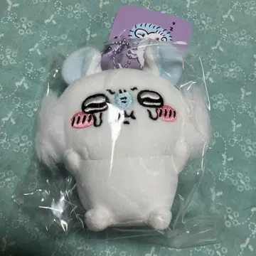 치이카와 모몽가 PUN. 마스코트