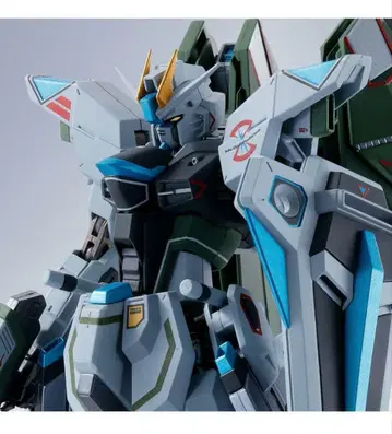 METAL ROBOT SIDE MS 프리덤 건담 리얼 타입 컬러