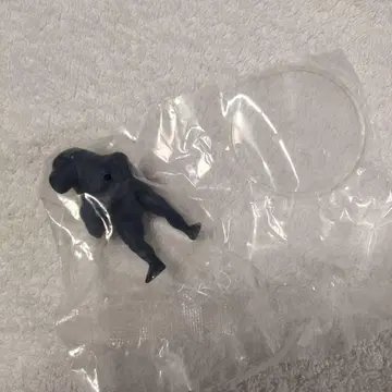 근육질 새, 까마귀 씨