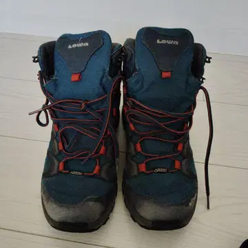 LOWA 로버 INNOX GTX 미드 UK7 26.2cm