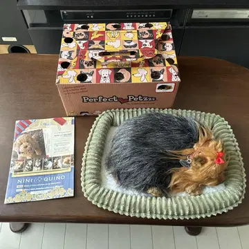 퍼펙트 반려동물 요크셔 테리어 Perfect Pet