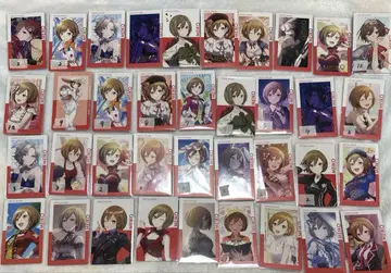 MEIKO 에피카