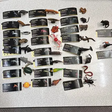 초코Q 시리즈 6 24종 컴플리트 시크릿 2종 카이요도