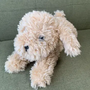 선 레몬 봉제 인형 무릎 강아지 토이 푸들 베이지 개