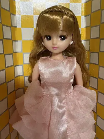 리카짱 본체와 원피스