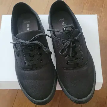 daily CLIP 하레와 아메 스니커즈 24.5cm