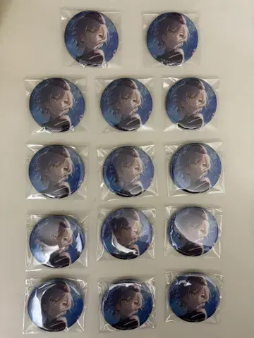 프로세카 글리터 캔뱃지 시호 14개