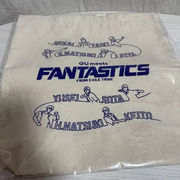FANTASTICS 지유 토트백