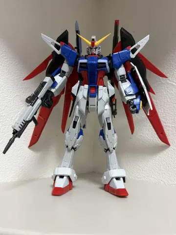 RG 1/144 데스티니 건담