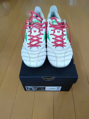 모레리아 NEO4 한정 컬러 26cm Mizuno Neo IV Japan