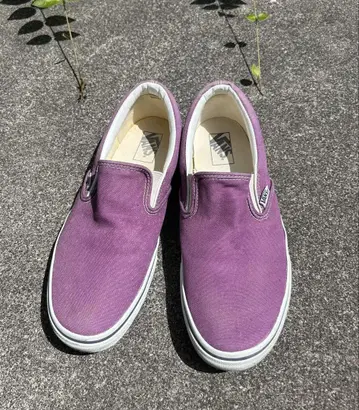 VANS 슬립온 퍼플 28cm