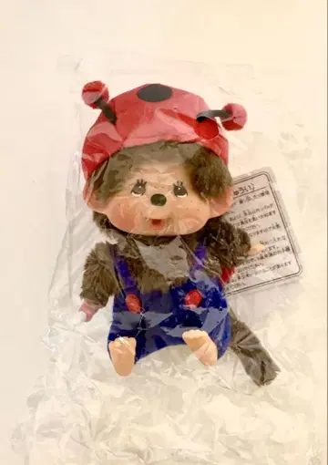 몬치치 무당벌레 얼굴이 큰 SS 키체인 새상품 미사용 레어 완판템