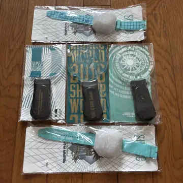 SHINee World TOKYO DOME 응원봉 2개 세트