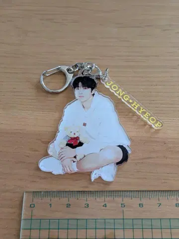 채종협 아크릴 스탠드 키링