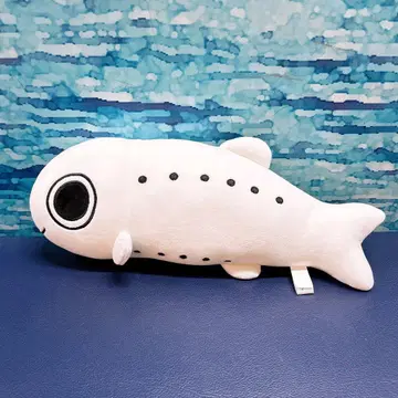 에노시마 수족관 봉제 인형 시라스