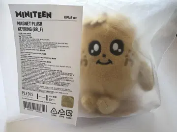 세븐틴 민규 MINITEEN