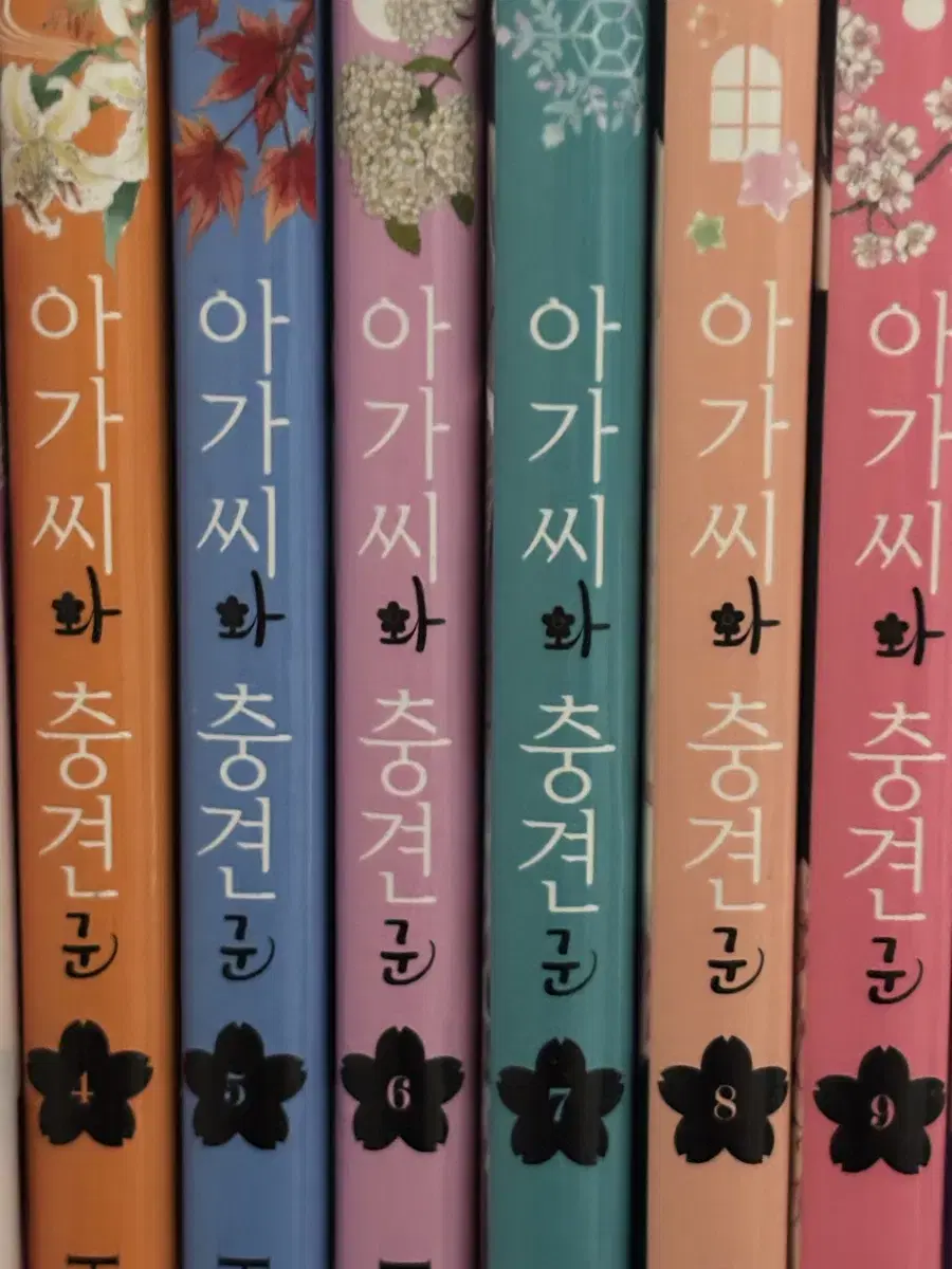 Miss and Her Bodyguard Volumes 4-9