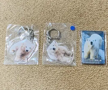 야기야마 동물공원 쌍둥이 북극곰 키링 폴라 마그넷 3개 세트