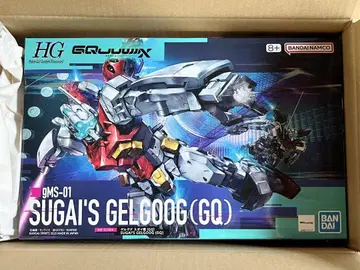 HG 1/144 겔구그 스가이 기체 (GQ)