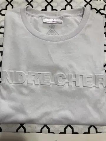 ENDRECHERI 투어 티셔츠 도모토 츠요시