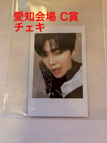 제베원 박고넥 폴라로이드 C상 아이치 회장