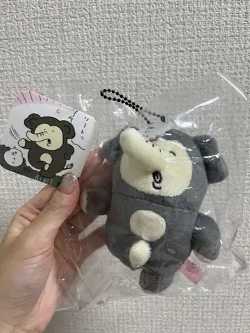 치이카와 아쿠무 조우마 스캇