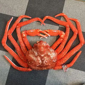 리얼 게 초대형 봉제 인형 도서 대게