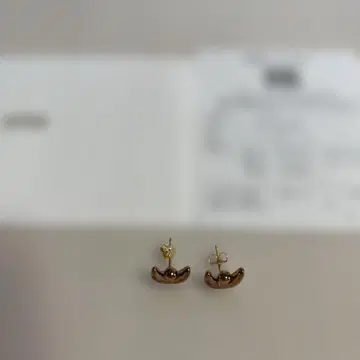 ete 후르츠 귀걸이