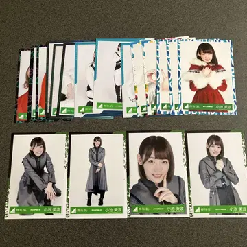 코이케 미나미(Keyakizaka46) 브로마이드 22장 세트 컴프