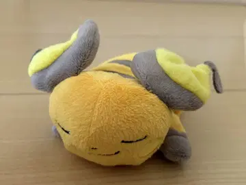 라이츄 쿠타리 봉제 인형